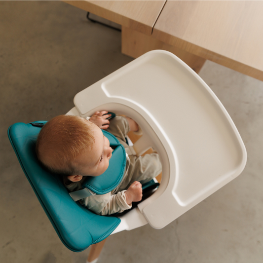 The Moose Ted High Chair for Babies