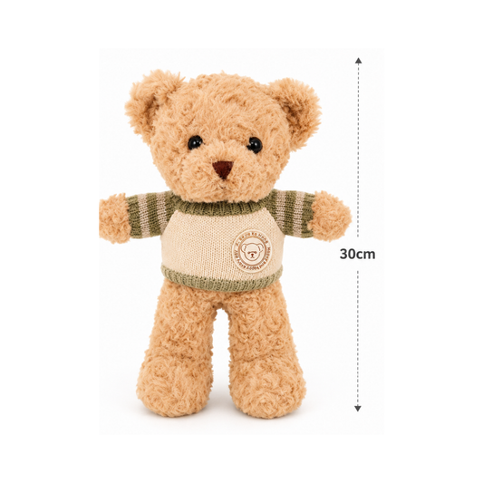 Teddy bear with sweater
