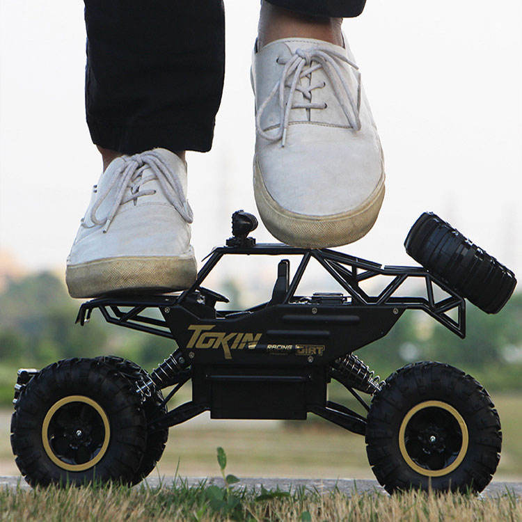Remote Control Cars & Trucks 