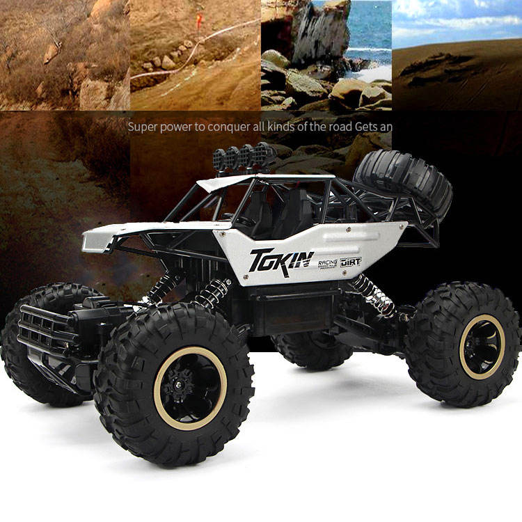 Remote Control Cars & Trucks 