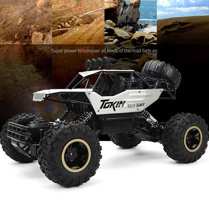Remote Control Cars & Trucks 