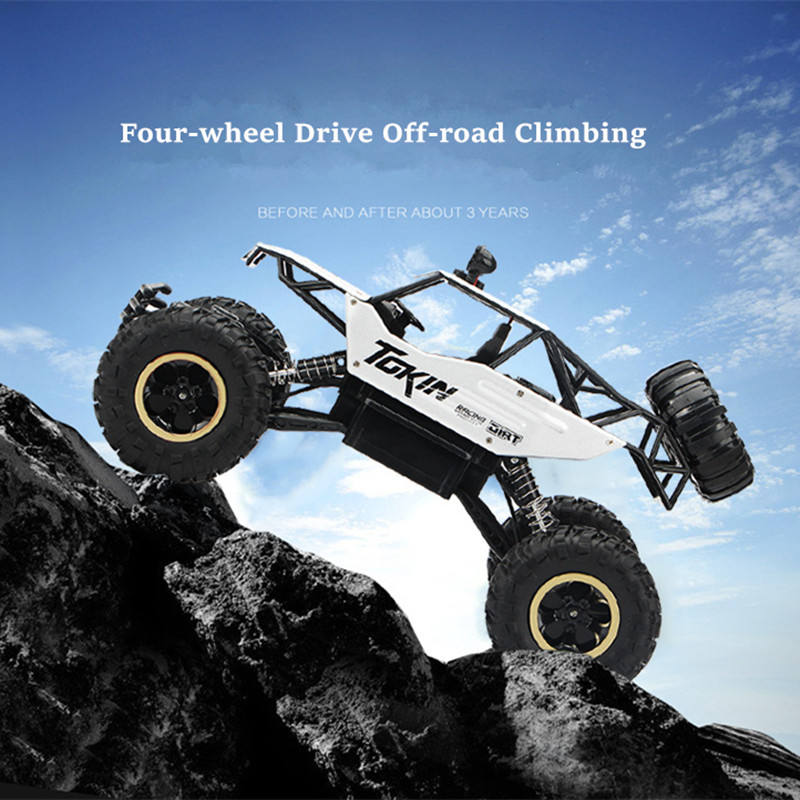 Remote Control Cars & Trucks 
