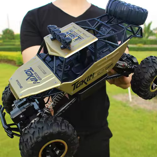 Remote Control Cars & Trucks 