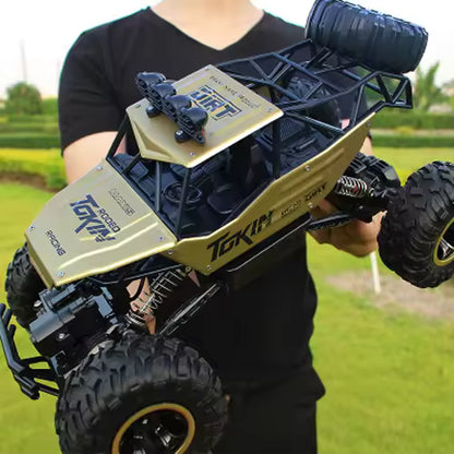 Remote Control Cars & Trucks 