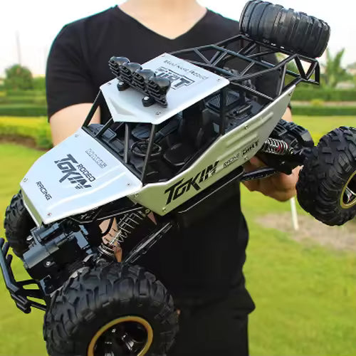 Remote Control Cars & Trucks 