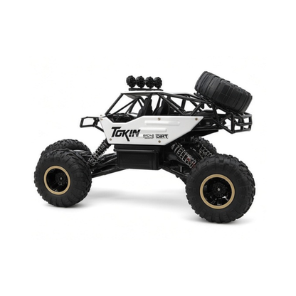 Remote Control Cars & Trucks 