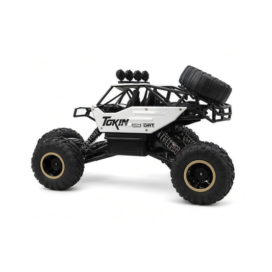 Remote Control Cars & Trucks 