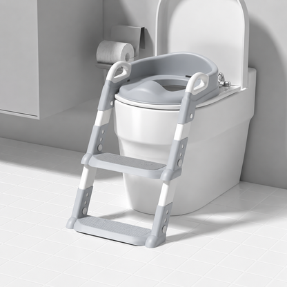 Toddler Potty Training Ladder