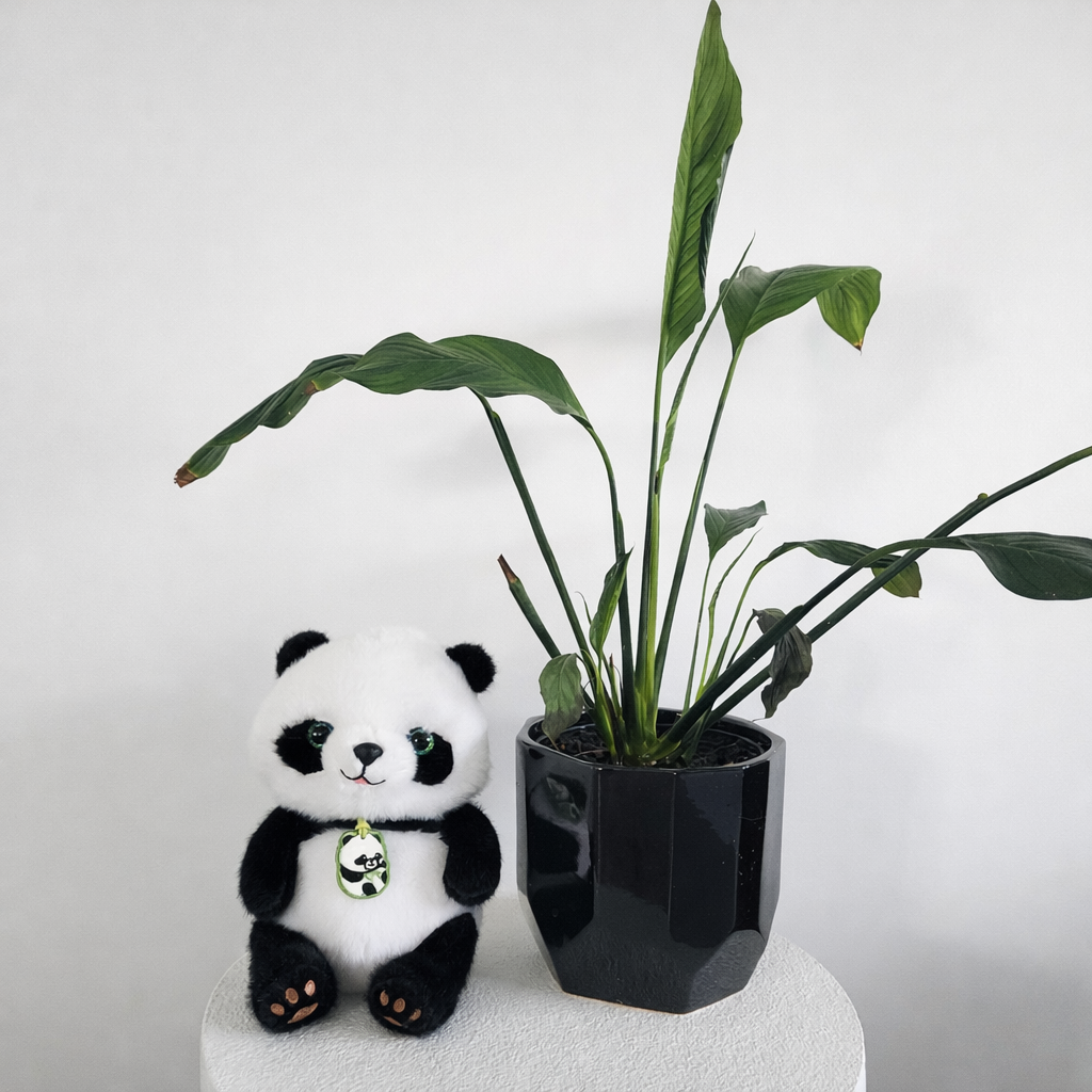 Panda Soft Toy Cute Plush Teddy for Kids