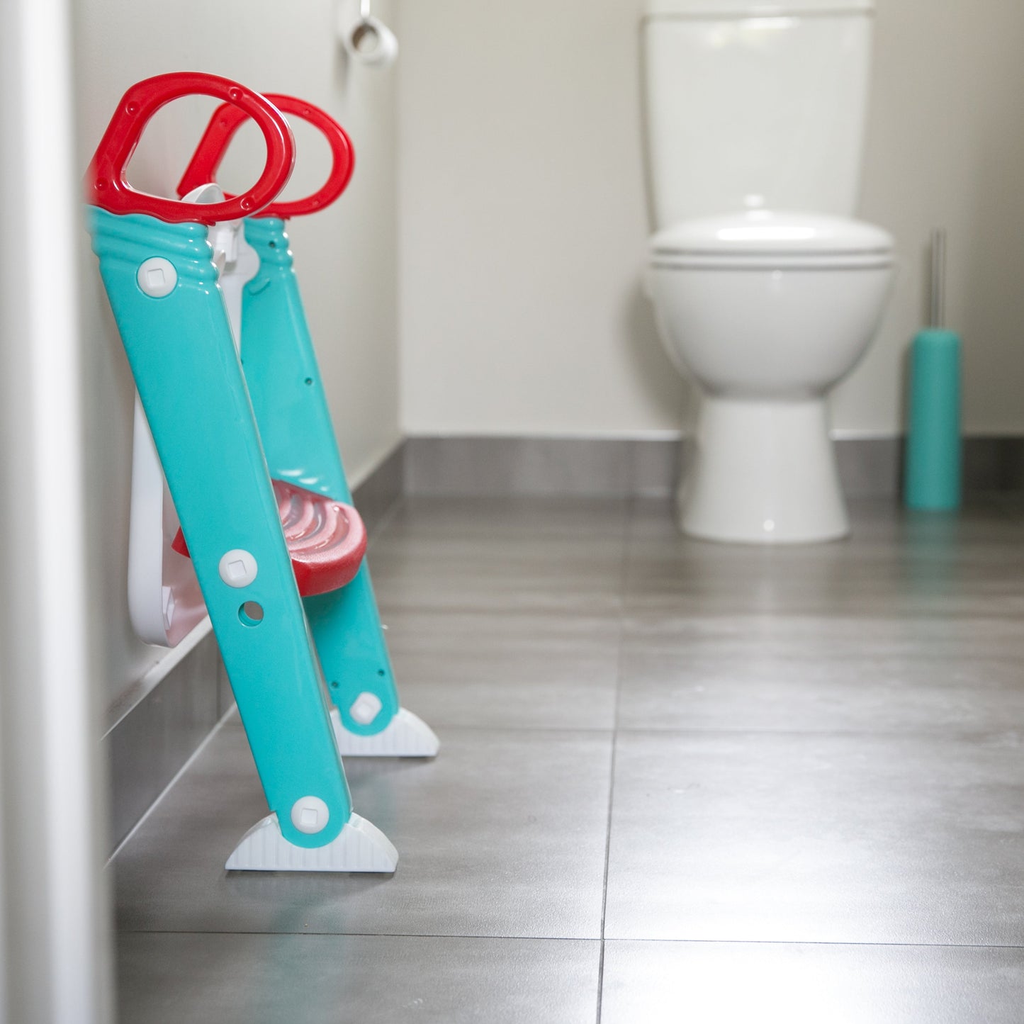 Step-on-Up-Toilet-Training-Ladder