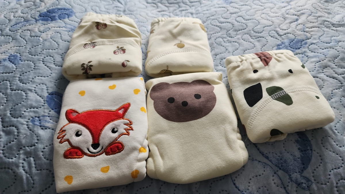 Toddler Toilet Training Pants | Reusable Nappy Underwear