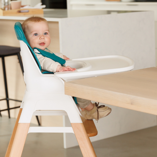 The Moose Ted High Chair for Babies
