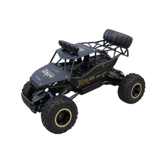Remote Control Cars & Trucks 